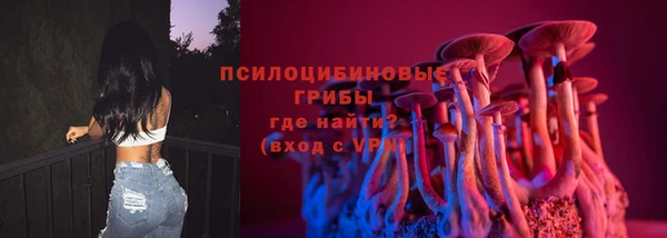 индика Новодвинск