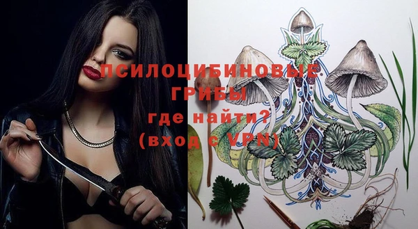 apvp Абинск