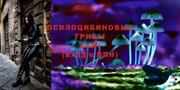 гидропоника Абдулино