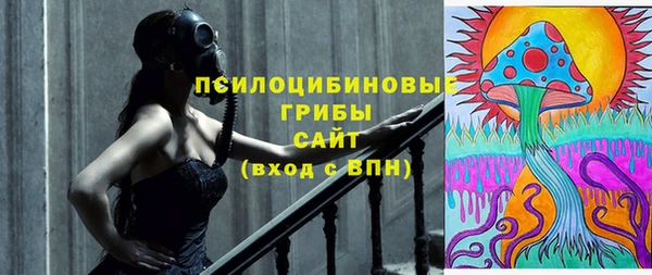 гидропоника Абдулино