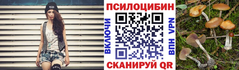 Псилоцибиновые грибы GOLDEN TEACHER  наркота  Шенкурск 