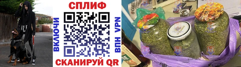 Канабис THC 21%  как найти закладки  Шенкурск 